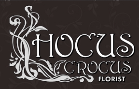 logo for Hocus Crocus, Florist in Northampton,