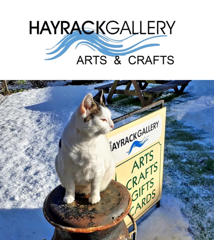 a cat sitting on a stool outdoors in the snow.