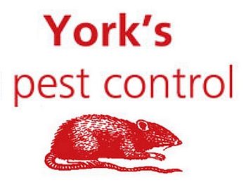 logo, a rat with text saying Yorks pest control in Kettering